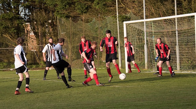 相關傷病往 相關傷病往