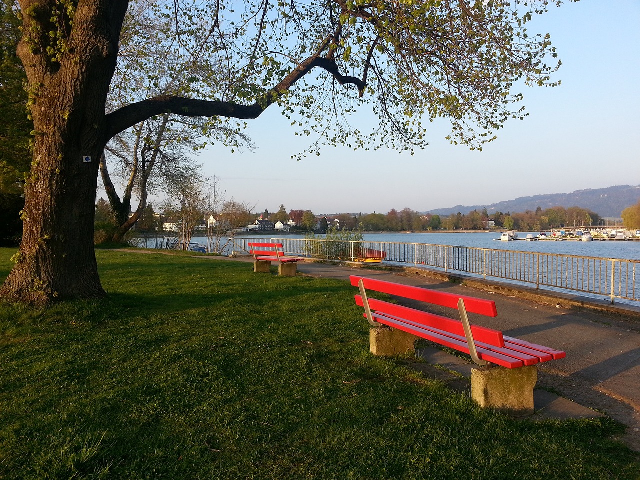 排名和球队 排名和球队