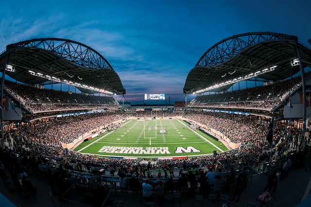 精彩的发挥 精彩的发挥