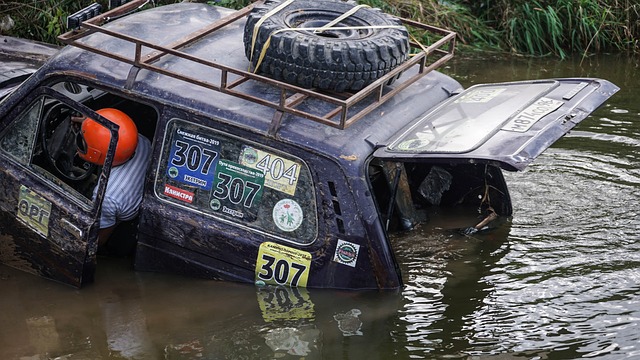 性和智慧 性和智慧